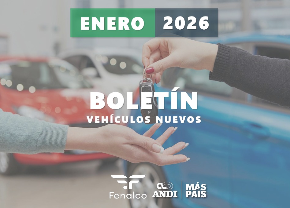Vehiculos Enero 2026